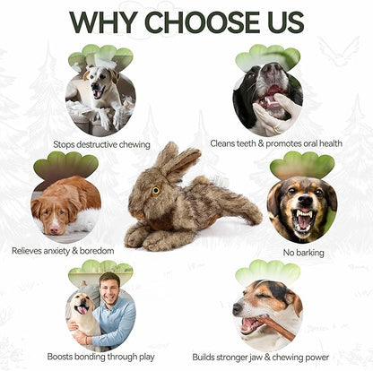 ALL FOR PAWS Brown Rabbit Pet Plush Toys, Dog Squeaker Toy, Large