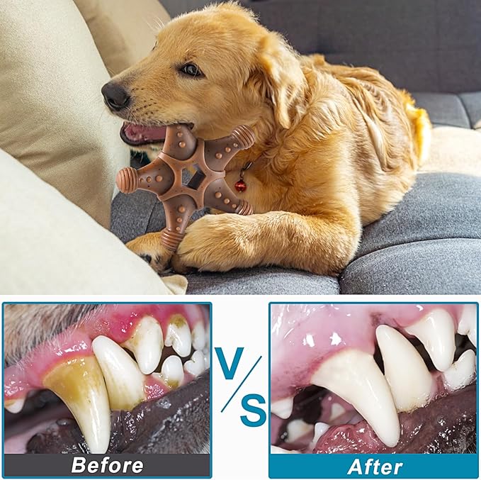 NEZIN Dog Chew Toys for Aggressive Chewers, 4 Pack Indestructible Dog Toys with Tough Nylon, Chew Toy Gift for Dogs of All Breed Sizes