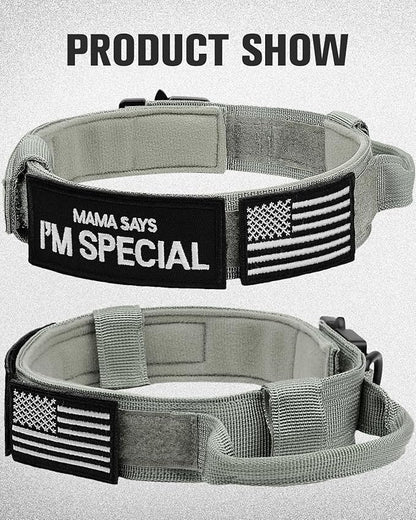 Joytale Tactical Dog Collar with Handle and Metal Buckle, Heavy Duty Padded Military Collar with 2 Patches for Training, Adjustable for Large Dogs, Gray, L