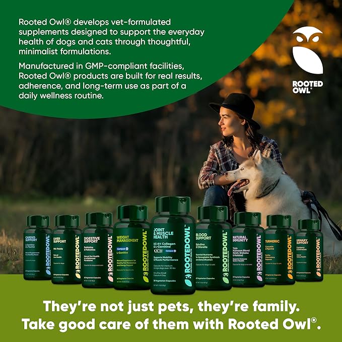 Rooted Owl Cardio Support - L-Taurine and L-Carnitine Supplement for Dogs - Cardiovascular and Heart Health Supplements for Dogs - 60/ct