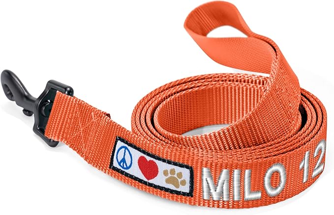 Pawtitas Personalized 6 ft Orange Dog Leash XXS/Cat Custom Name and Phone Embroidery Strong Nylon Leash for Small Breeds