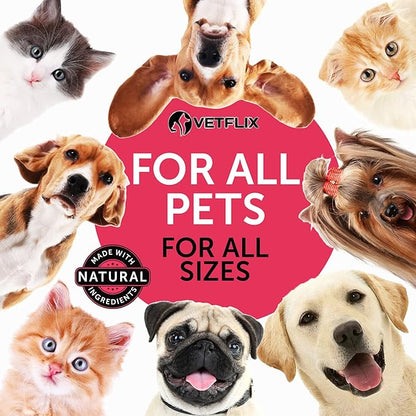 10 in 1 Pet Vitamins for Dogs, Cats, Puppies and Kittens - Made in USA - Glucosamine and Multivitamin Supplement - Joint, Immune and Skin Health Support - 2 Fl Oz