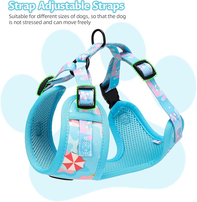 Small Dog Harness and Leash Set of 6, No Pull Soft Lightweight Mesh Puppy Harness， Adjustable Cute Floral Pattern Pet Harness for Small Medium Dogs (Blue Sea, XS)