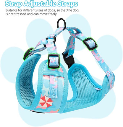 Small Dog Harness and Leash Set of 6, No Pull Soft Lightweight Mesh Puppy Harness， Adjustable Cute Floral Pattern Pet Harness for Small Medium Dogs (Blue Sea, L)