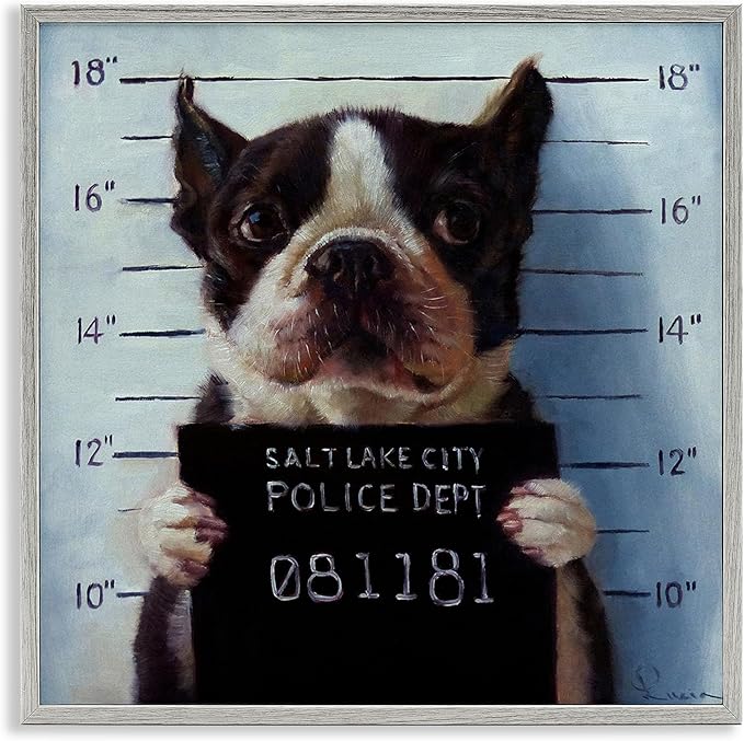 Stupell Industries Funny Boston Terrier Dog Jail Convicted Police, Design by Lucia Heffernan