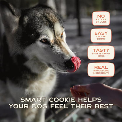 Smart Cookie Freeze Dried Salmon Bites - Single Ingredient Freeze Dried Treats for Dogs - Wild Caught Alaskan Salmon Dog Training Treats & Dog Food Topper - Made in USA - 2oz Bag, 3 Pack