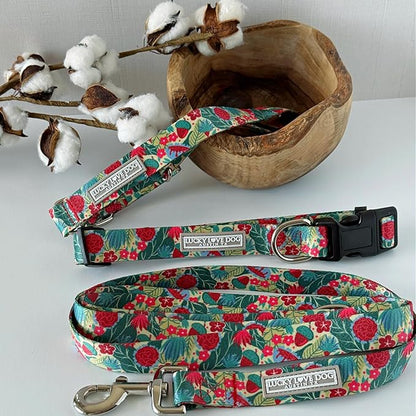 Lucky Love Dog - Easy Click Buckle Dog Collar with Leash Set Combo, Durable & Comfortable for Male & Female Dogs, Pet Collar for Small Dogs, Secure Fit - Ginny Combo, Small