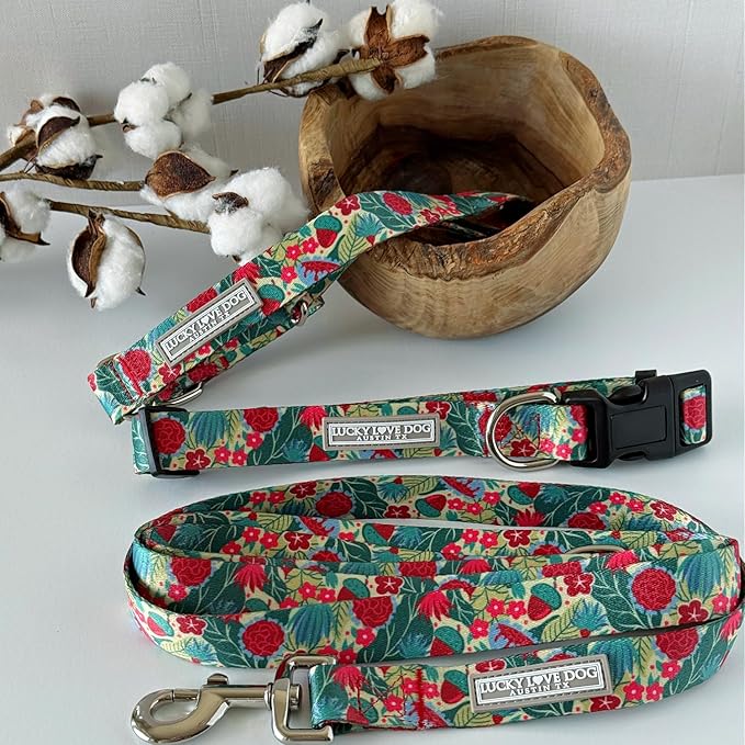 Lucky Love Dog - Easy Click Buckle Dog Collar with Leash Set Combo, Durable & Comfortable for Male & Female Dogs, Pet Collar for Large Dogs, Secure Fit - Ginny Combo, Large