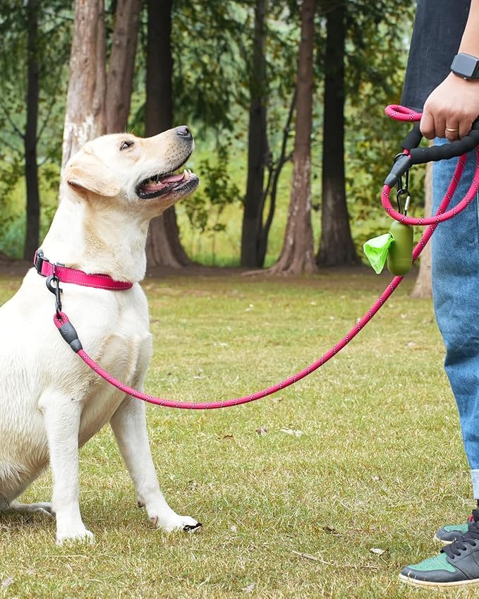 Dynmeow Reflective Dog Collar and Leash Set, 6FT Strong Climbing Rope Leash with Padded Handle, Adjustable Pet Collar with Soft Neoprene Padding for Medium Large Dogs, Hot-Pink, M
