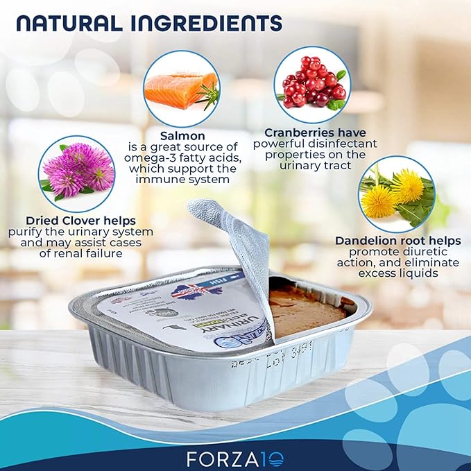 Forza10 - Cat Food, Urinary Tract Wet Cat Food, Non GMO, Vet-Approved UTI Support with Salmon Flavor, Made in Italy (3.5 oz, 32 Pack)