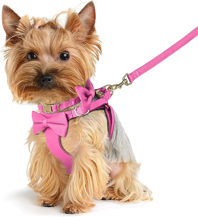 Beirui Adorable Small Dog Harness Collar and Leash Set,Cute XXS Puppy Harness Set with 3 Bows for Tiny Dogs,Chihuahua,Adjustable Step-in Vest for Daily Walking,Parties&Holiday Outfits(Hot Pink,XXS)