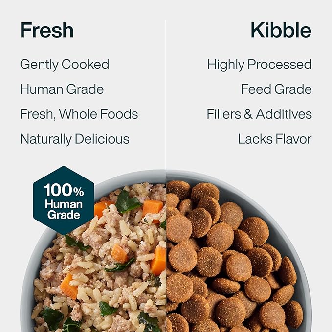 JustFoodForDogs JustFresh Wet Dog Food, Fresh Pet Meals and Toppers with No Preservatives, Resealable Package, Human Grade, Home-Cooked Beef & Chicken, 12 oz - 8 Pack