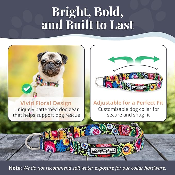 Lucky Love Dog Martingale Dog Collar - Adjustable, No-Slip, Durable, & Soft Webbing Collar for Male and Female Dogs Ideal for Training & Walking - Blackbird, Large