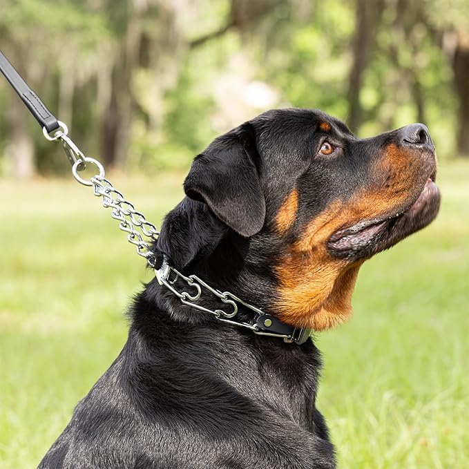 Herm Sprenger Chrome Plated Steel Dog Collar with Quick Release ClicLock Buckle O-Ring Biothane Insert Training Collar Made in Germany (Black, 25in x 4.0mm(Neck Size up to21-22in))