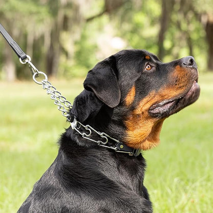 Herm Sprenger Chrome Plated Steel Dog Collar with Quick Release ClicLock Buckle O-Ring Biothane Insert Training Collar Made in Germany (Black, 25in x 4.0mm(Neck Size up to21-22in))