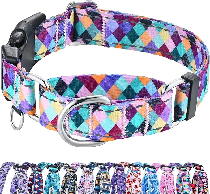 Reflective Martingale Collar for Dogs with Quick Release Buckle No Pull Training Dog Collars (Colorful Geometric, Medium)