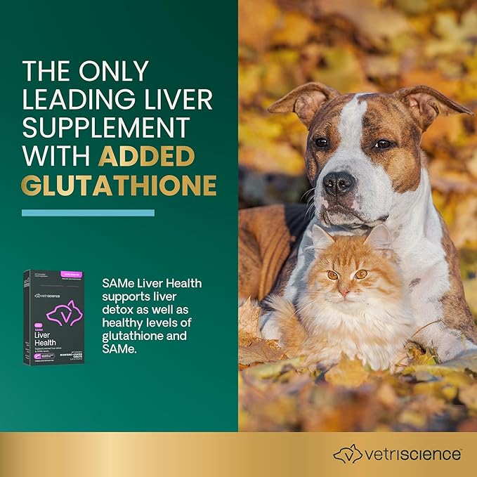 VetriScience Same Liver Health Tablets for Cats & Small Dogs – 90 mg S-Adenosyl Methionine Liver Support Supplement, Methionine Health and Detox Supplement, Glutathione Antioxidant, Tablets, 30 Cnt