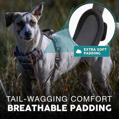 Embark Adventure Small Dog Harness – No-Pull, Reflective Trim, Military-Grade Nylon, Front Clip with Gel-Lined Handle, Soft & Padded