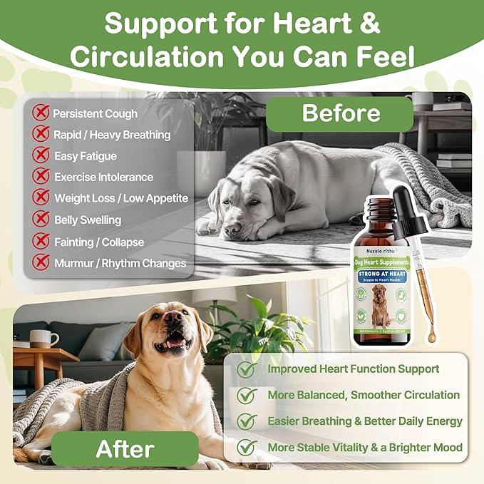 Heartw0rm Prevention for Dogs, Fast-Absorbing Liquid with Hawthorn & Motherwort, Supports Heart Function & Smooth Circulation, Helps Maintain Daily Vitality,Young Heart for Dogs, 2 fl oz/60 mL