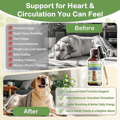 Heartw0rm Prevention for Dogs, Fast-Absorbing Liquid with Hawthorn & Motherwort, Supports Heart Function & Smooth Circulation, Helps Maintain Daily Vitality,Young Heart for Dogs, 2 fl oz/60 mL