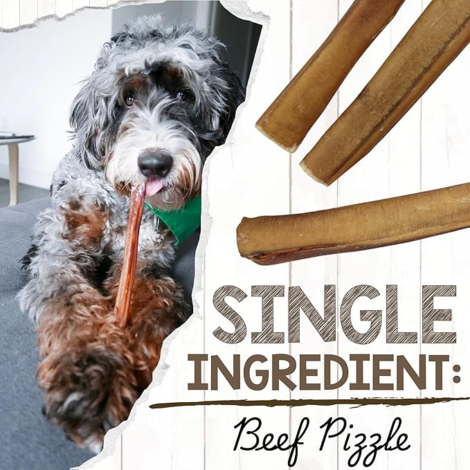 Nature Gnaws Extra Large Bully Sticks for Dogs 11-12" (3 Count) - Thick Long Lasting for Aggressive Chewers and Heavy Chewers - Natural Beef Dog Chew Bones