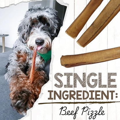 Nature Gnaws Extra Large Bully Sticks for Dogs 11-12" (3 Count) - Thick Long Lasting for Aggressive Chewers and Heavy Chewers - Natural Beef Dog Chew Bones