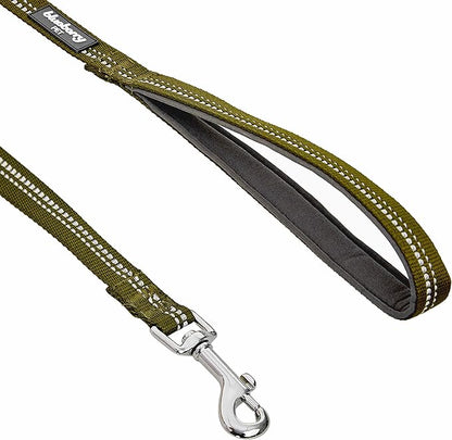 Blueberry Pet 3M Reflective Pastel Color Dog Leash with Soft & Comfortable Handle, 5 ft x 3/4", Olive Green, Medium, Leashes for Dogs