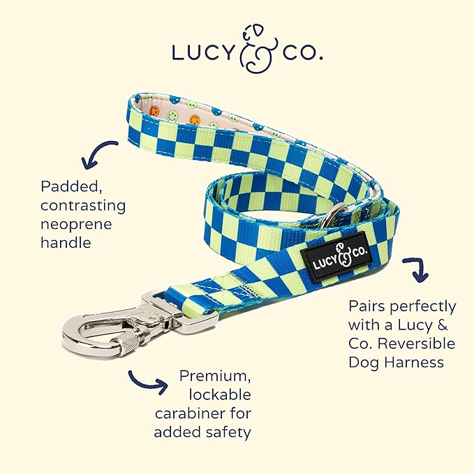 Lucy & Co. Designer Dog Leash - Pet Accessories - Thick Dog Leash - Padded Handle for Comfort - Purple with Green Floral - 5 Foot (Lime Green Blue Checker, Small)