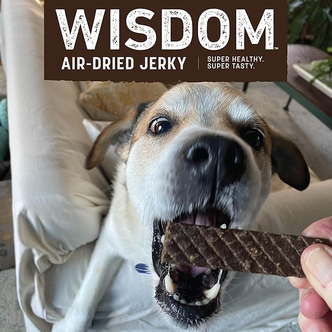 Earth Animal Wisdom Air Dried Jerky - From the Air Recipe Premium Natural Jerky Strips Dog Treats - 3 Pack 4 oz Bag