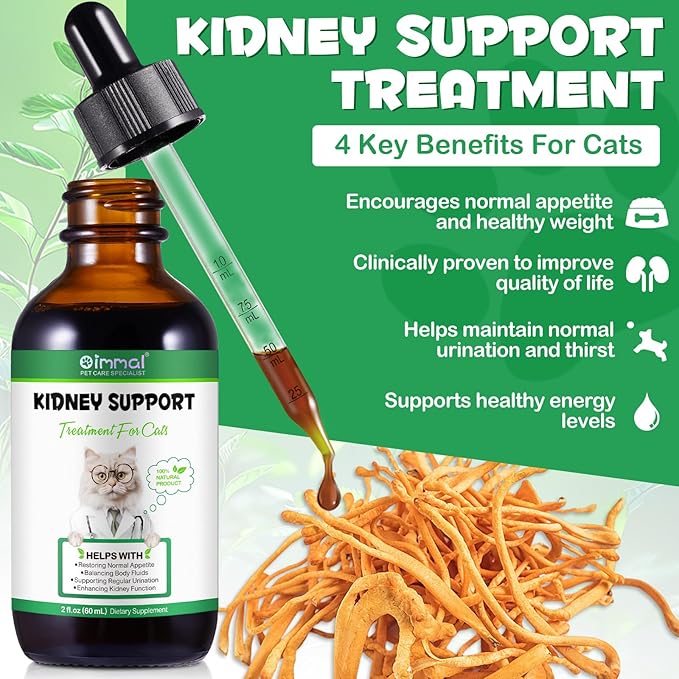 Kidney Support for Cats, Cat Kidney Treatment Support Cat Urinate Regularly, Strengthen Kidney Function,Increase Immunity, Herbal Supplement Supports Healthy Kidney Function- 60ml/2fl.oz