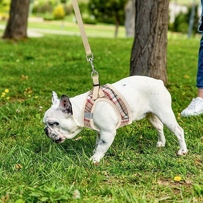 PUPTECK Adjustable Dog Harness Collar and Leash Set Step in No Pull Pet Harness for Small Medium Dogs Puppy and Cats Outdoor Walking Running, Soft Mesh Padded Reflective Vest Harnesses, Khaki L