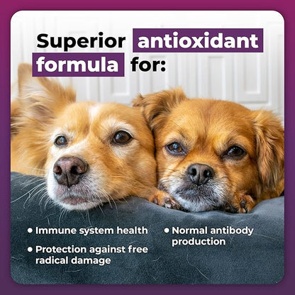 VetriScience Immunity Health Easy-Open Capsules, Supplement for Small Dogs, Cell Advance Immune and Allergy Support with Antioxidants, Hypoallergenic Formula, 60 Count