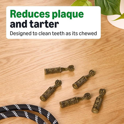 Amazon Basics Dental Dog Treats to Help Clean Teeth & Freshen Breath - Tiny (5-15 lbs), Unflavored (Previously Wag)
