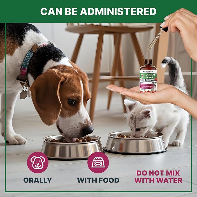 MaxBuddy Natural UTI Treatment Support - Cranberry Urinary Tract Infection Care & Prevention Assistance for Cats and Dogs – Kidney & Bladder Wellness Supplement Drops - Support for Urine Flow
