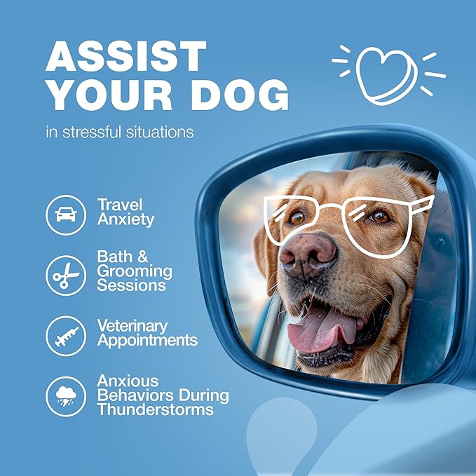 Calming Chews for Dogs Anxiety Relief - Soft Chews for Dogs - Melatonin, Chamomile Extract, Valerian Root - Travel Pack - Vet Visits, Grooming, Nail Trimming, Storms