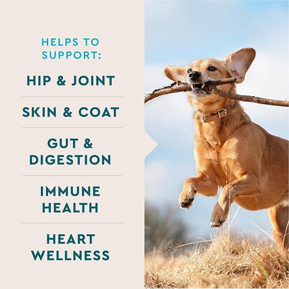 VetIQ 8-in-One Multifunctional Supplement for Dogs, Supports Hip & Joint, Urinary Tract, Immune System, Skin Health and Heart Health, Soft Chews, Made in The USA, (Pack of 120)