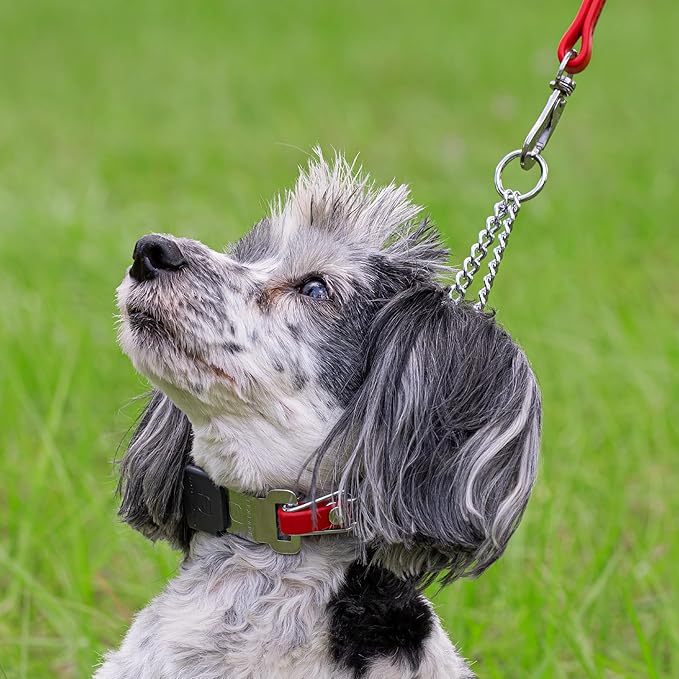 Herm Sprenger Chrome Plated Steel Dog Collar with Quick Release ClicLock Buckle O-Ring Biothane Insert Training Collar Made in Germany (Cherry Red, 16in x 2.25mm(Neck Size up to 13-14in))