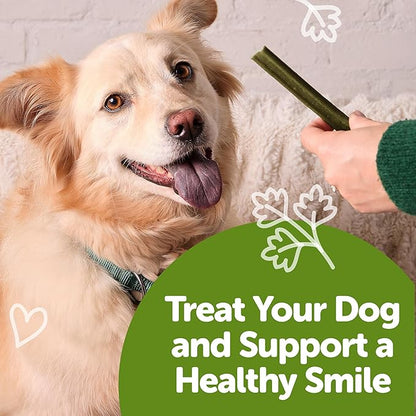 Wellness WHIMZEES Freshzees Dog Dental Treat, Soft Chews, Freshens Breath, Medium Size, 14.81 oz Bag, 14 Count