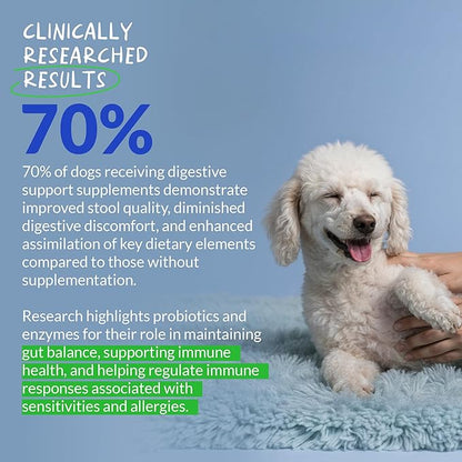 Probiotics for Dogs - 120 Chewable Tablets - Diarrhea & Gas Support - with Honey Pumpkin and Prebiotics for Dog Allergies, Bad Breath & Constipation Support