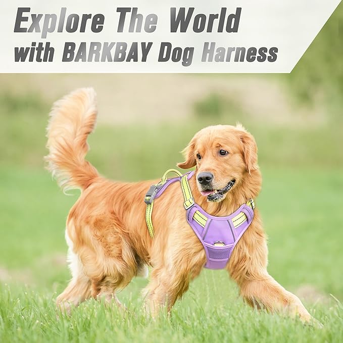 BARKBAY No Pull Dog Harness Front Clip Heavy Duty Reflective Easy Control Handle for Large Dog Walking(Violet Purple & Sunlight,L)