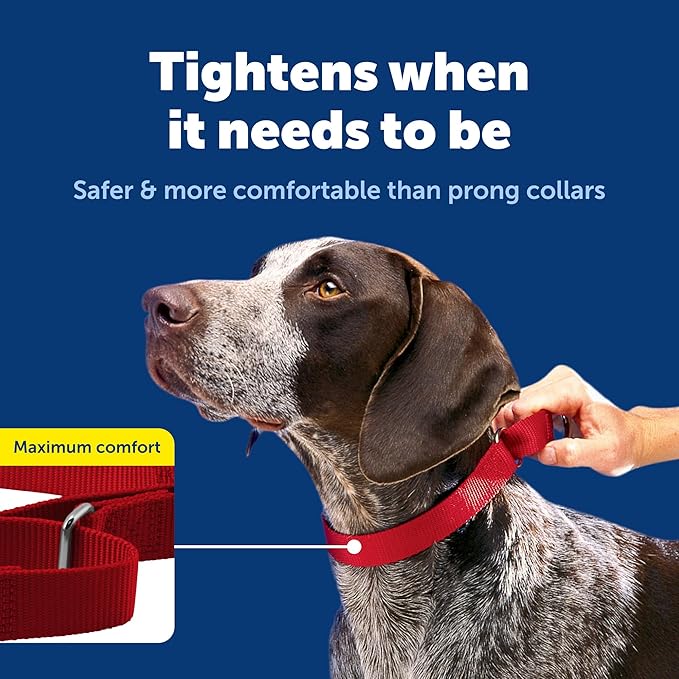 PetSafe Martingale Dog Collar - Safer Than Choke Chains - Gentle Correction for Pulling - Escape Prevention Collar - Durable Nylon - Everyday Walking Gear - 3/4" - Medium - Red