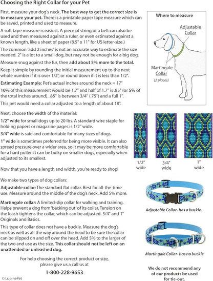 LupinePet Originals 3/4" Turtle Reef 10-14" Martingale Collar for Small Dogs