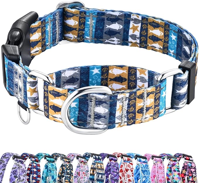 Reflective Martingale Collar with Buckle Shark Starfish Ethnic Stripe Adjustable Designer Dog Collars (Underwater World, Medium)