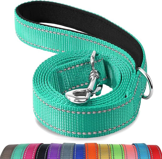 Joytale Dog Leash, 5 FT Double-Sided Reflective, Padded Handle Nylon Heavy Duty Leashes for Medium & Large Dogs Walking, Teal