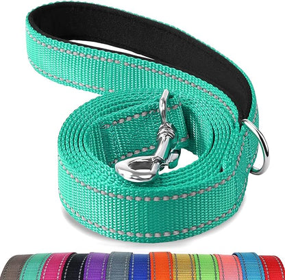 Joytale Dog Leash, 4 FT Double-Sided Reflective, Padded Handle Nylon Heavy Duty Leashes for Medium & Large Dogs Walking, Teal