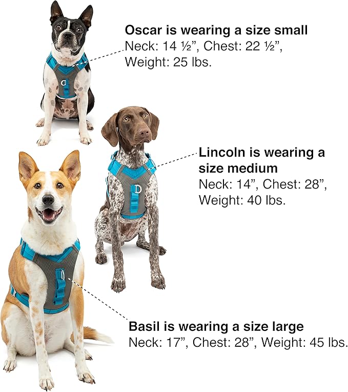 Kurgo Journey Air Dog Harness - Secure Fit for Active Dogs - Padded Chest - Lightweight Ripstop Fabric - Breathable Mesh - Reflective Trim - Back Assist Handle - Red - Large