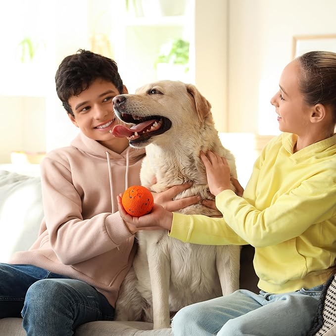 ALL FOR PAWS Interactive Dog Toy, Smart Moving Ball with 2 Play Modes, E-TPU Material, USB Rechargeable Motion-Activated Bouncing Ball for Medium Large Dogs, Automatic Rolling Keeps Dog Busy