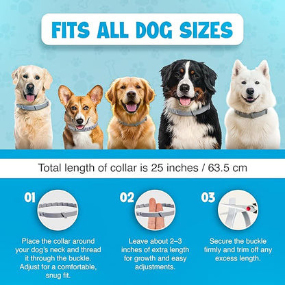 Dog Flea and Tick Collar 8-Month Protection All Natural Flea Collar for Dogs & Puppies with Flea Comb, Shell Comb, Tick Tweezers & Tick Removal Tool | 5-in-1 Dog Flea Collar & Protection Kit