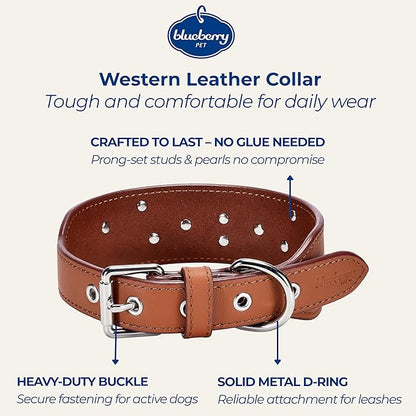 Blueberry Pet Western Dog Collar in Canyon Brown - 15-18 Inch Necks Floral-Embroidered Leather with Turquoise Studs, Dog Collars for Medium Dogs, Adjustable Leather Girl Dog Collar