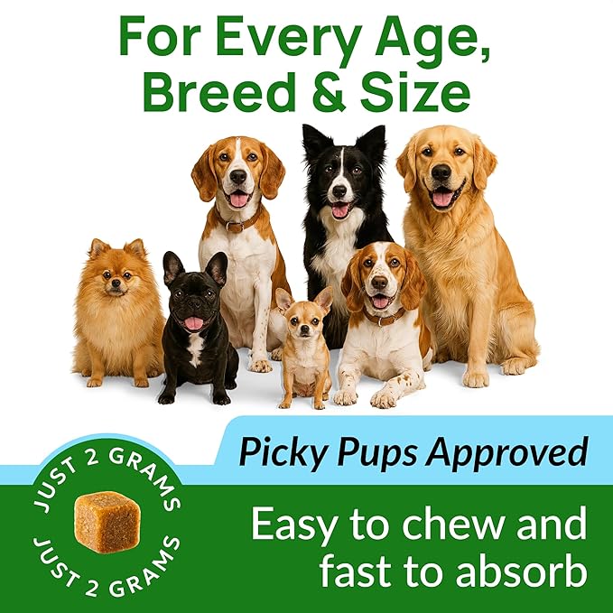 PAWFECTCHEW Green Grass Dog Chews w/Probiotics - Prevent Urine Burning Grass - Dog Pee Grass Spot Saver - Dog Urine Neutralizer for Lawn Treats, UT & Gut Health for Dogs, Lawn Burn from Dog Urine
